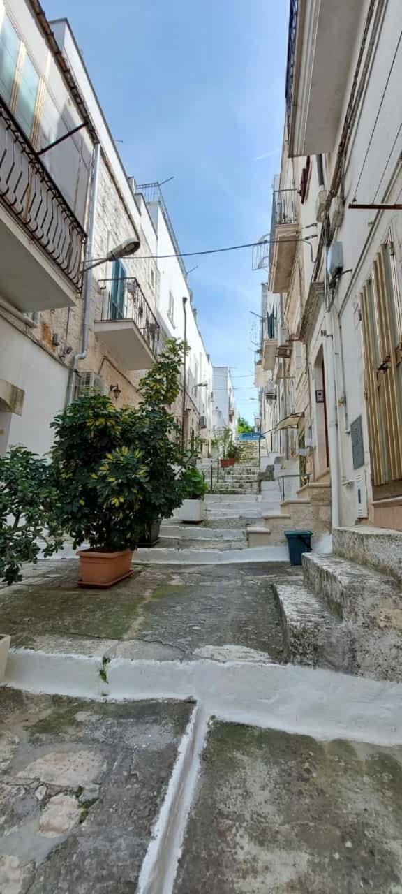 Vico Anglani Guest House オストゥーニ エクステリア 写真