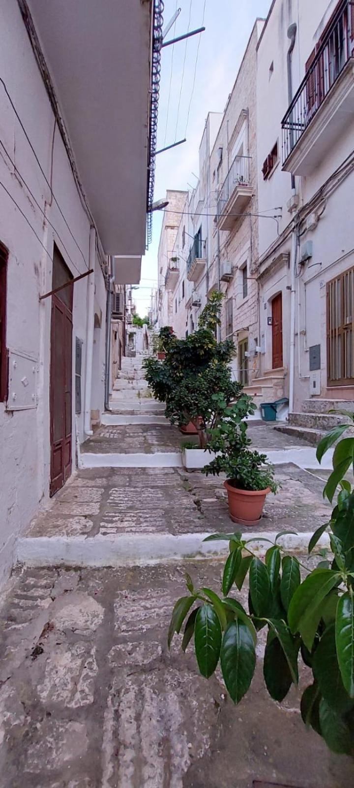 Vico Anglani Guest House オストゥーニ エクステリア 写真